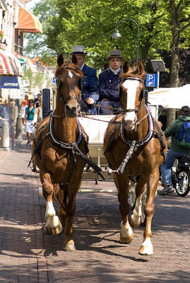 wedding coach