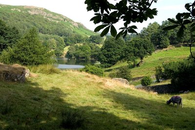 Loughrigg from the other side