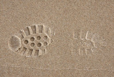 fossil