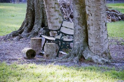 grandfather's chair