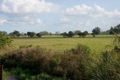 view of the land 1