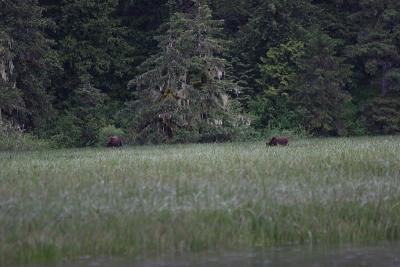IMG_1507.JPG