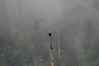 IMG_1521.JPG