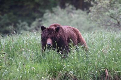 IMG_1605.JPG