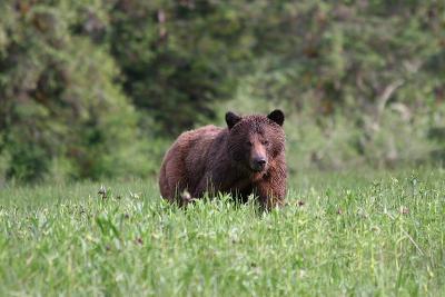 IMG_1654.JPG