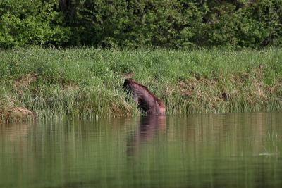 IMG_1666.JPG