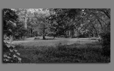 Dunbarton Oaks Panorama