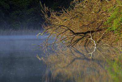 Patuxent Sunrise_030.jpg