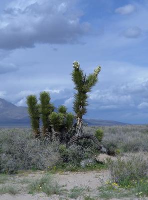 China Lake_0090.jpg