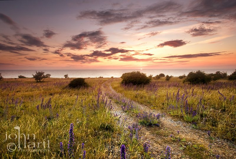very south of Gotland