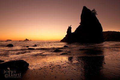 Rialto beach