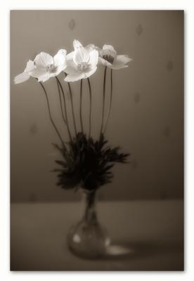 white flower