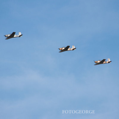 g4/71/631071/3/132942970.W5FggM9n.jpg