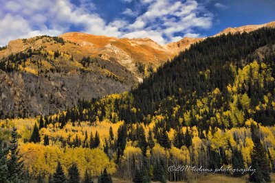 Aspens.jpg