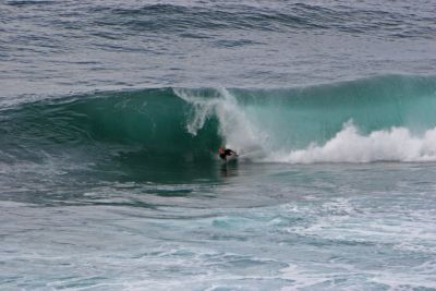 Shark Island