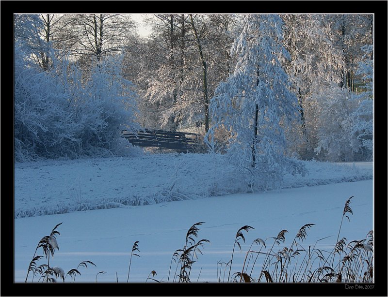 Winter_018.jpg