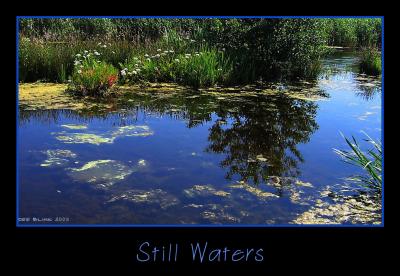 Still Waters.jpg