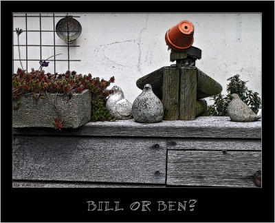 Goedereede014.jpg