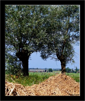 Noord Aa tot Zoeterwoude_009.jpg