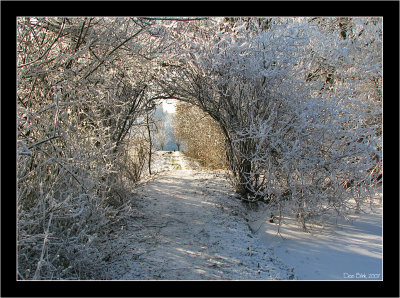 Winter_003.jpg