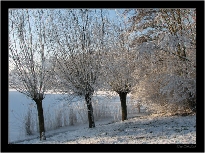 Winter_017.jpg