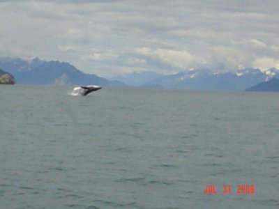 2006  Annual trip to Seward to fish for Halibut and Salmon