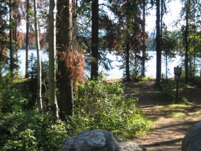 Bear Lake campsite near Prince Geo.