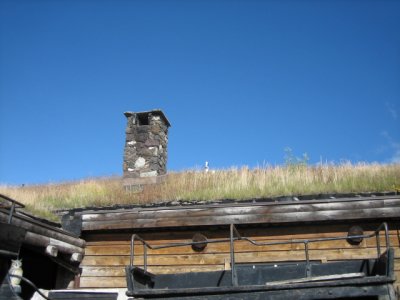 Sod roof