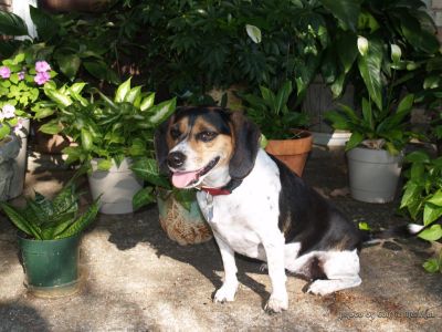 LUCY