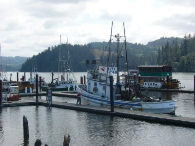 P1010873.jpg