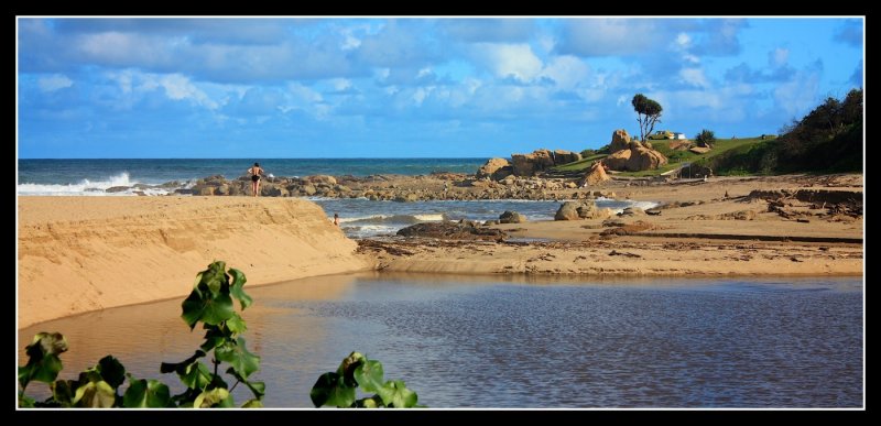 Shelly Beach - by Gill