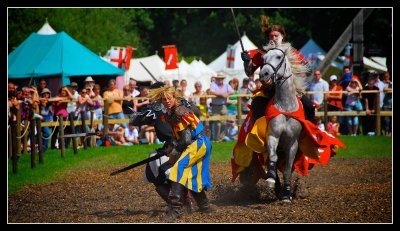 Warwick Castle - Honour is at Stake !