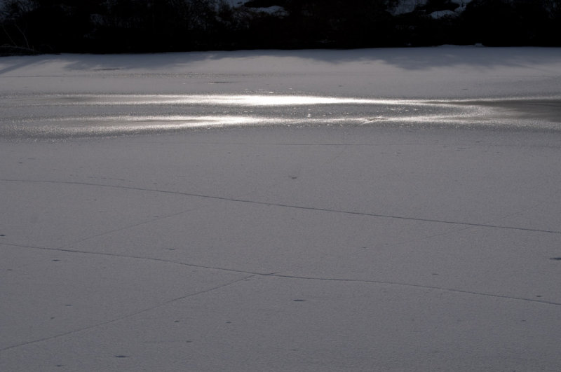 Icescape