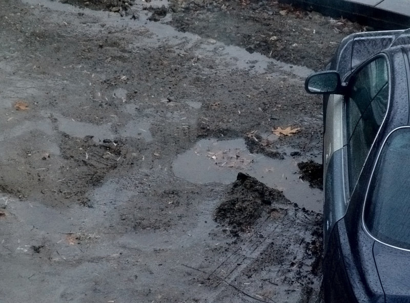 muddy New Year