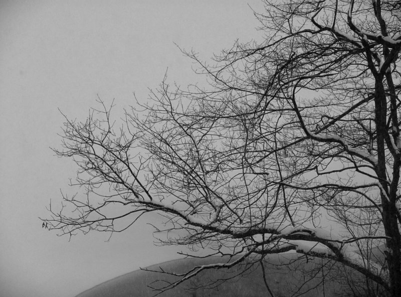 grayscale