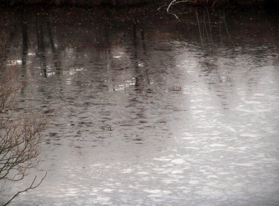 rain on the ice