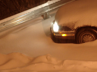 up to its knees in snow