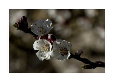 g4/71/716571/3/133461454.hGDeU7cm.jpg