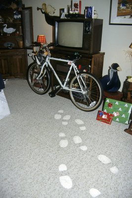 IMG1996.jpg