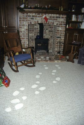 IMG2776.jpg
