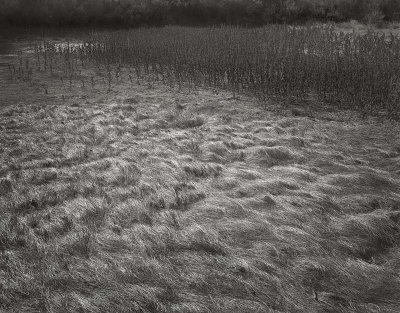 Rice Tank, Big Bend Nat'l Park, Texas 19821108.jpg