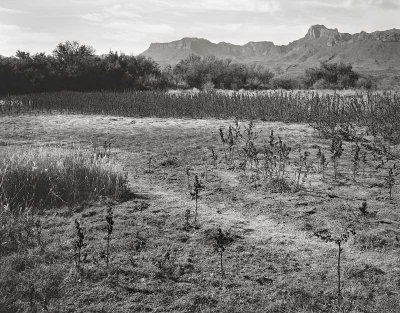 Rice Tank Big Bend Nat'l Park, Texas 19821109.jpg