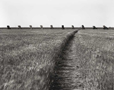 Amarillo, Texas    19830609