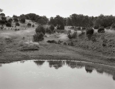 Los Madrones Ranch, Travis County, Texas   19831209