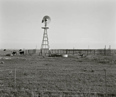 Roosevelt County, New Mexico   19860817