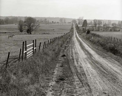 Conway County, Arkansas    19861204