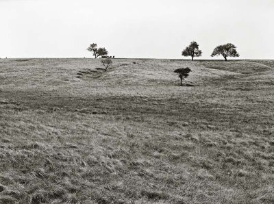 Hill County, Texas    19870702