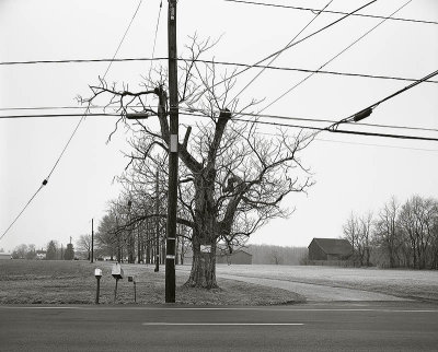 Moorestown, New Jersey 19890303