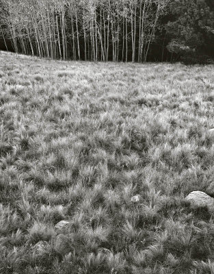 Monjeau Medeau, Lincoln Nat'l Forest, New Mexico 19961005