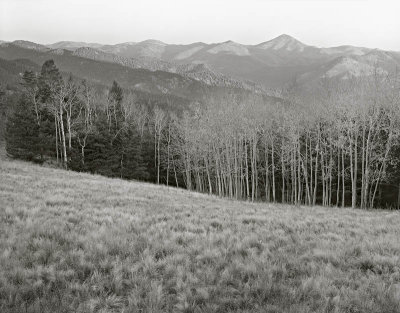 Monjeau Medeau, Lincoln National Park, New Mexico 19961008